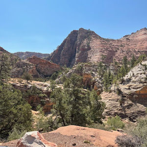 Meet your Posher, Sophie